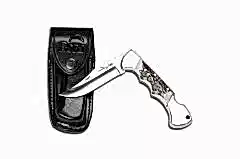 Bora 211 BPA Ergonomik Geyik Boynuzu Saplı Çakı